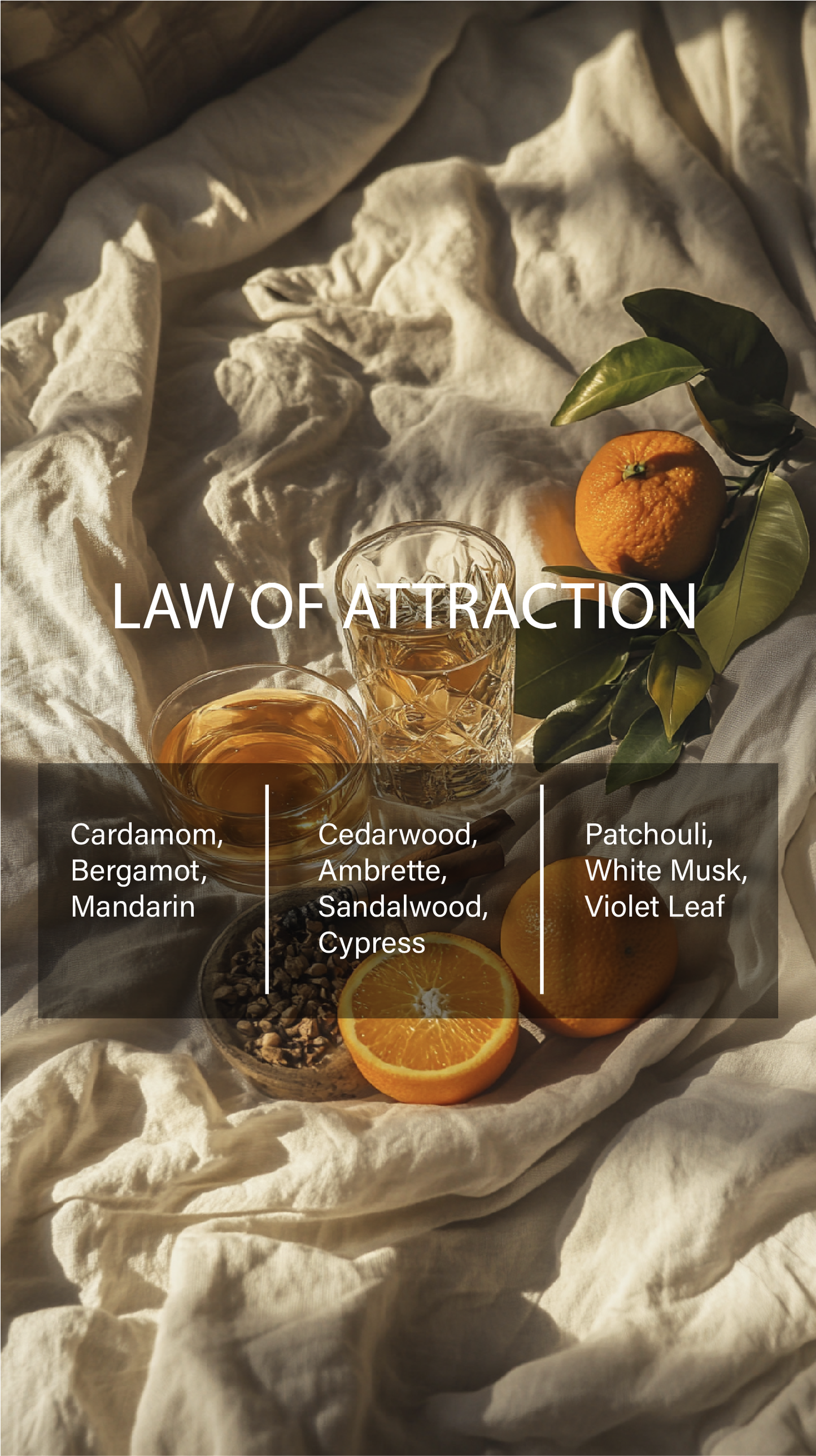 LAW OF ATTRACTION